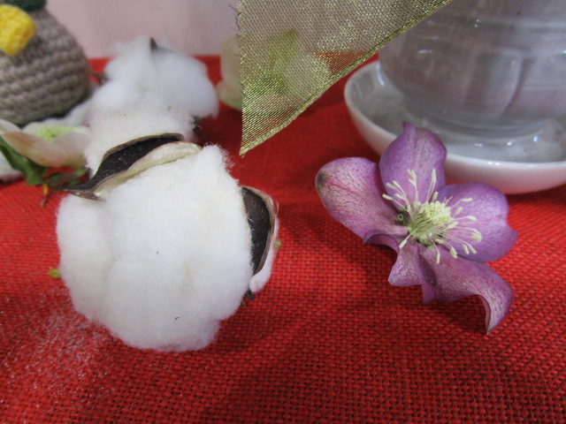 綿とクリスマスローズ（薄紫）