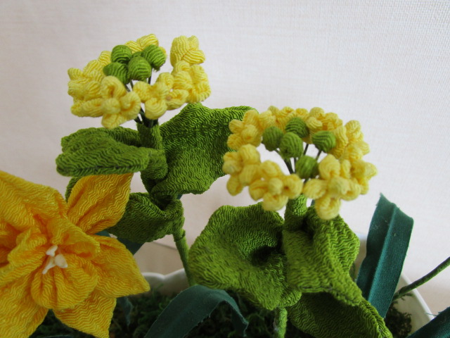 菜の花