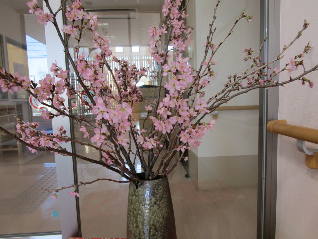 ３月１２日の桜2